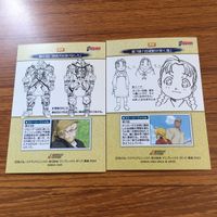 鋼の錬金術師 ハガレン カード トレカ カードダスマスターズ まとめ エド エドワード アル アルフォンス ウィンリィ ロゼ ニーナ 15 サムネイル 6