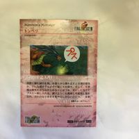 カード トレカ まとめ ファイナルファンタジー FF アレクサンダー トンベリ バハムート グラシャラボラス エデン 54 サムネイル 8
