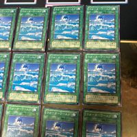 ウォーターワールド 2期 型番統一 20枚 PS 遊戯王 ノーマル 初期 サムネイル 3
