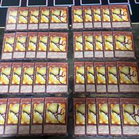 ブルーミー 40枚 型番統一 遊戯王 まとめ ノーマル INFO