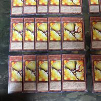 ブルーミー 40枚 型番統一 遊戯王 まとめ ノーマル INFO サムネイル 4