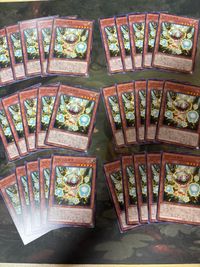 Yu-Gi-Oh Normal Card Lot 30 Cards