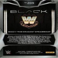 キングオブプロレス RICKY THE DRAGON STEAMBOAT オカダ 非売品 棚橋弘至 カード まとめ サムネイル 3