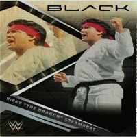 キングオブプロレス RICKY THE DRAGON STEAMBOAT オカダ 非売品 棚橋弘至 カード まとめ サムネイル 2