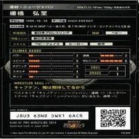 キングオブプロレス RICKY THE DRAGON STEAMBOAT オカダ 非売品 棚橋弘至 カード まとめ サムネイル 5