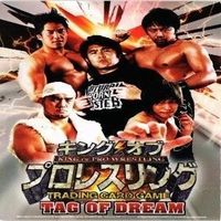 キングオブプロレス RICKY THE DRAGON STEAMBOAT オカダ 非売品 棚橋弘至 カード まとめ サムネイル 6