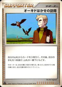 ポケモン カード まとめ DP4 DP3 DP2 DP1 オーキドはかせの訪問 ギンガ団のマーズ ミズキの検索 ナナカマドはかせ きずぐ サムネイル 2