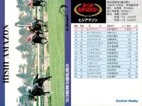 カード ホースレーシング 競馬 馬 ヒシアマゾン 箔押し D DREAM ドリーム まとめ 記念 カード セントラルホビー central hobby サムネイル 8