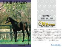 カード ホースレーシング 競馬 馬 ヒシアマゾン 箔押し D DREAM ドリーム まとめ 記念 カード セントラルホビー central hobby サムネイル 3