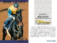 カード ホースレーシング 競馬 馬 ヒシアマゾン 箔押し D DREAM ドリーム まとめ 記念 カード セントラルホビー central hobby サムネイル 4