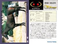カード ホースレーシング 競馬 馬 ヒシアマゾン 箔押し D DREAM ドリーム まとめ 記念 カード セントラルホビー central hobby サムネイル 9