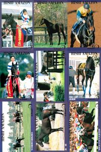 カード ホースレーシング 競馬 馬 ヒシアマゾン 箔押し D DREAM ドリーム まとめ 記念 カード セントラルホビー central hobby サムネイル 1