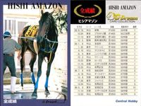 カード ホースレーシング 競馬 馬 ヒシアマゾン 箔押し D DREAM ドリーム まとめ 記念 カード セントラルホビー central hobby サムネイル 7