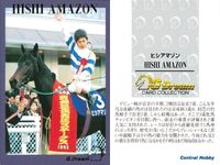 カード ホースレーシング 競馬 馬 ヒシアマゾン 箔押し D DREAM ドリーム まとめ 記念 カード セントラルホビー central hobby サムネイル 2