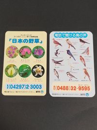 NTT テレホンサービス カード 当時もの 日本の野草 鳥の声 サムネイル 2