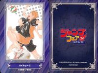 ジャンプ フェア アニメイト カード まとめ 家庭教師ヒットマンREBORN マッシュル ハイキュー リボーン 非売品 プロモ サムネイル 4