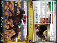 カード ホースレーシング まとめ ヤマカツエース アルアイン ニクス メラグラーナ アドマイヤミヤビ フェイムゲーム アルアイン メラグラーナ ペルシアンナイト ソウルスターリング 競馬 馬 EPOCH サムネイル 3