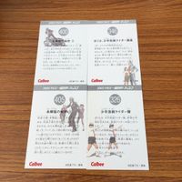 仮面ライダー カード まとめ 58 サムネイル 6