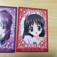 交渉歓迎 う22 カード シスタープリンセス 非売品 プロモ PR まとめ シスプリ 1912 サムネイル 3