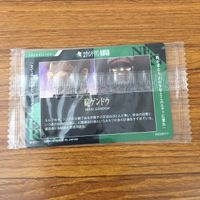カード トレカ まとめ 新世紀 エヴァンゲリオン エヴァ 弍号機 鈴原 トウジ 碇 ゲンドウ 未開封 3 サムネイル 8