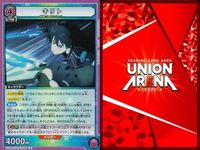 カード ユニオンアリーナ ソードアートオンライン SAO R レア まとめ キリト リニアー 紫 サムネイル 7
