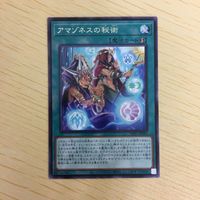 遊戯王 字レア カード トレーディングカード アマゾネスの秘術 まとめ サムネイル 3