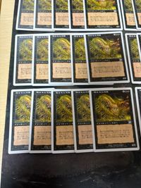 隠された恐怖 Hidden Horror 30枚 旧枠 白枠 型番統一 6ED 日本語版 JP MTG まとめ サムネイル 4
