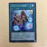 遊戯王 字レア カード トレーディングカード アマゾネスの秘術 まとめ サムネイル 4