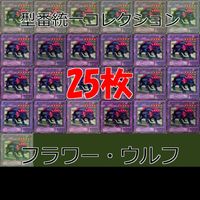 Flower Wolf Yu-Gi-Oh 25 Cards Lot Vintage Japanese