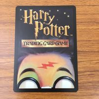 カード トレカ まとめ ハリーポッター かけそこないの魔法 エポキシマイズ 魔法生物の世話 インカーシフォア 52 サムネイル 10