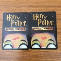 カード トレカ まとめ ハリーポッター かけそこないの魔法 エポキシマイズ 魔法生物の世話 インカーシフォア 52 サムネイル 4