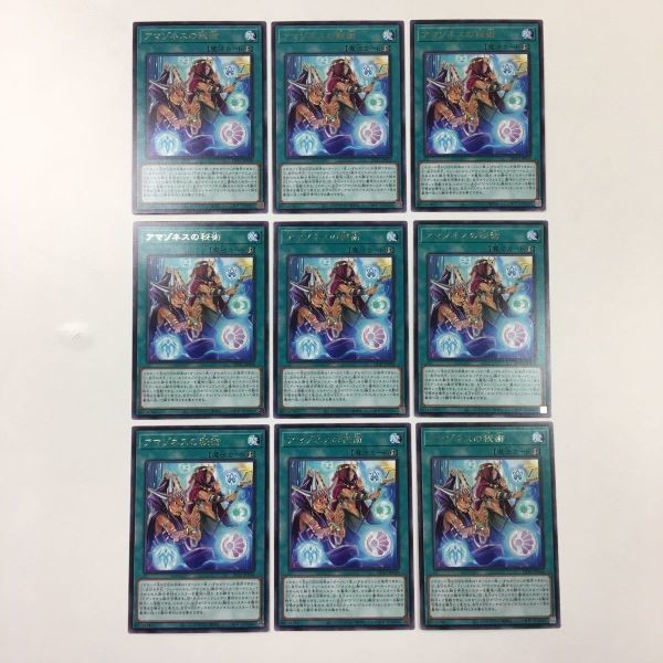 遊戯王 字レア カード トレーディングカード アマゾネスの秘術 まとめ