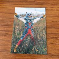 カルビー 仮面ライダー カード まとめ 30 サムネイル 2