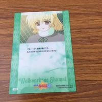 カード トレカ まとめ 魔法少女 リリカル なのは エイミィ リミエッタ リンディ ハラオウン シャマル 12 サムネイル 10