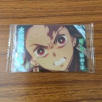 Demon Slayer Kimetsu no Yaiba Card Lot Tanjiro Anime サムネイル 9