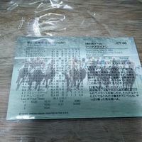 ナリタブライアン カード 競馬 東京優駿 61回 ホロ kb5 サムネイル 2