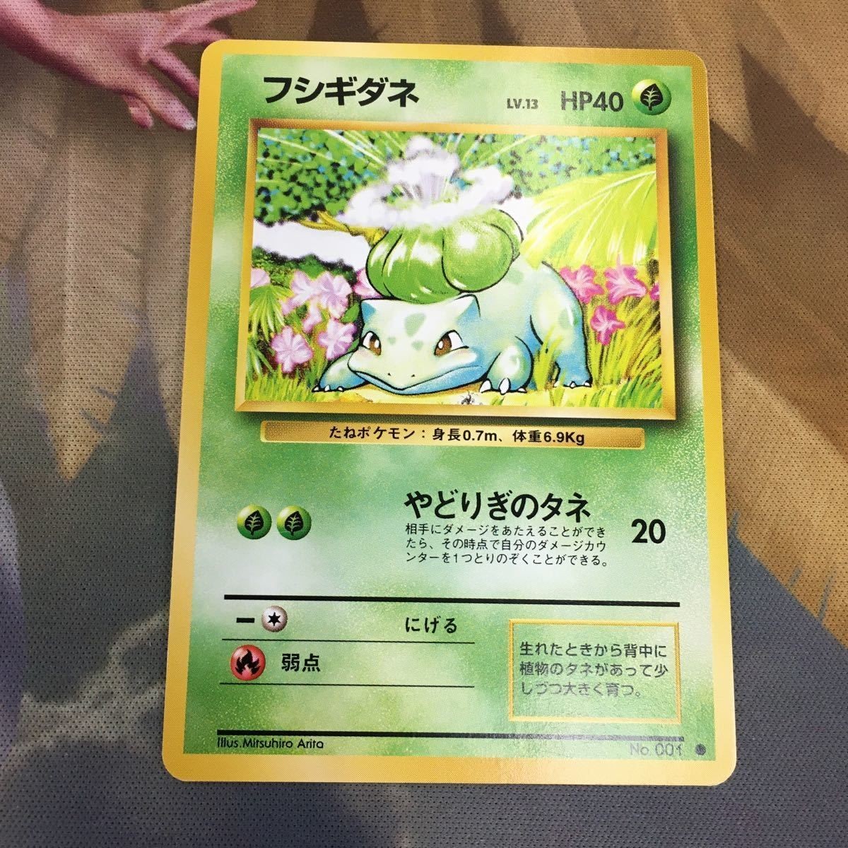ポケモンカード 旧裏面 1枚 フシギダネ 57