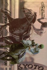 競馬 カード The Classic 1998 メジロマックイーン プロモ 非売品 PROMOTION FLEX ホースレーシング サラブレッドカード サムネイル 1
