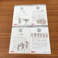 仮面ライダー カード まとめ 30 サムネイル 6