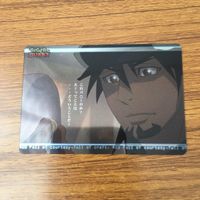 カード トレカ まとめ TIGER BUNNY タイガー バニー タイバニ 41 サムネイル 9