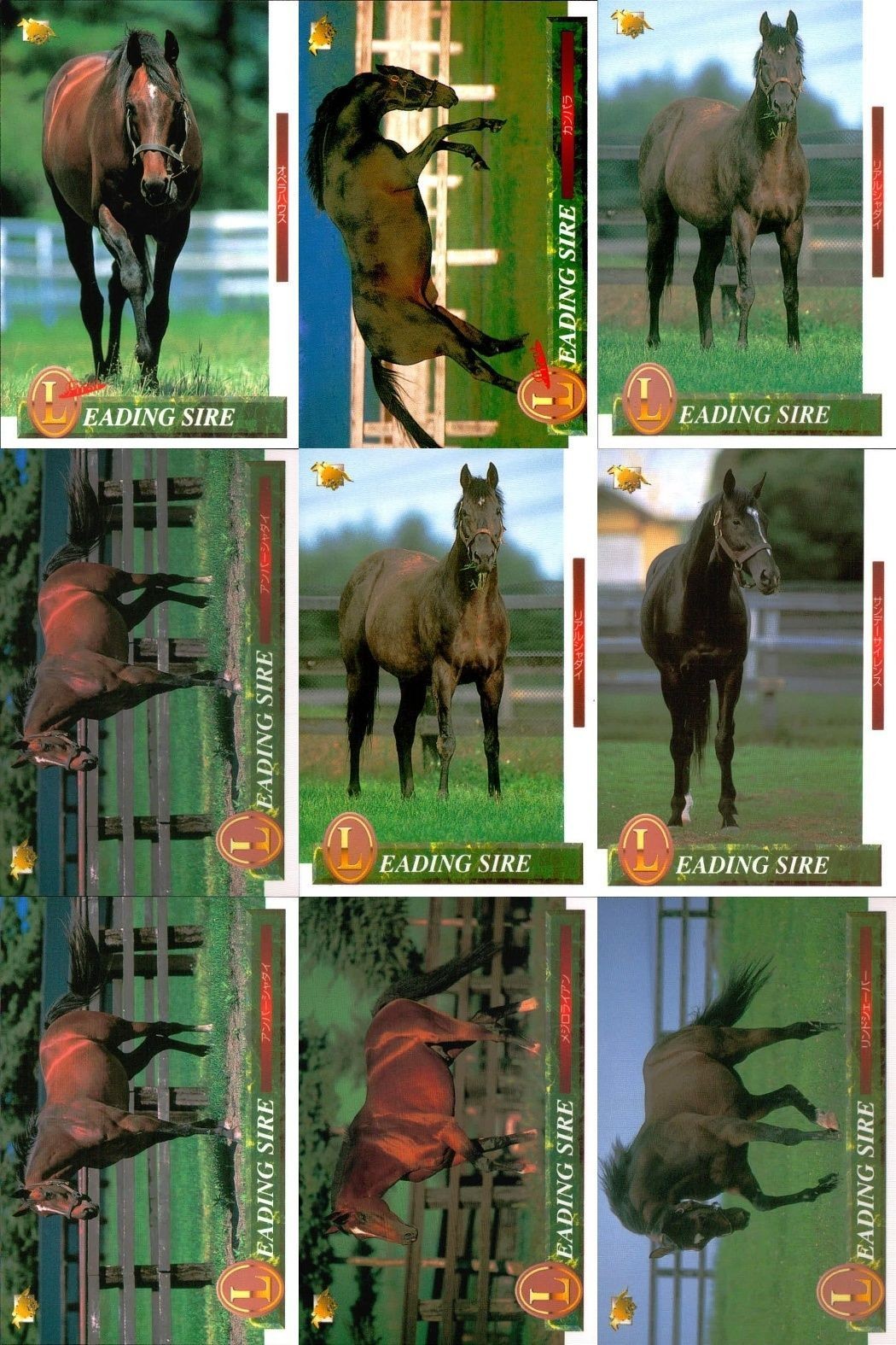 競馬 カード ホースレーシング まとめ オペラハウス カンパラ リアルシャダイ アンバーシャダイ シャダイ サンデーサイレンス アンバーシャダイ メジロライアン シェーバー バンダイ