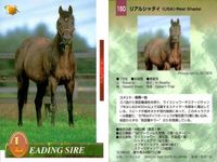 競馬 カード ホースレーシング まとめ オペラハウス カンパラ リアルシャダイ アンバーシャダイ シャダイ サンデーサイレンス アンバーシャダイ メジロライアン シェーバー バンダイ サムネイル 6