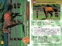 競馬 カード ホースレーシング まとめ オペラハウス カンパラ リアルシャダイ アンバーシャダイ シャダイ サンデーサイレンス アンバーシャダイ メジロライアン シェーバー バンダイ サムネイル 8
