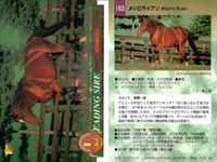 競馬 カード ホースレーシング まとめ オペラハウス カンパラ リアルシャダイ アンバーシャダイ シャダイ サンデーサイレンス アンバーシャダイ メジロライアン シェーバー バンダイ サムネイル 9