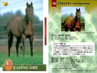 競馬 カード ホースレーシング まとめ オペラハウス カンパラ リアルシャダイ アンバーシャダイ シャダイ サンデーサイレンス アンバーシャダイ メジロライアン シェーバー バンダイ サムネイル 4