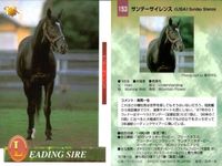 競馬 カード ホースレーシング まとめ オペラハウス カンパラ リアルシャダイ アンバーシャダイ シャダイ サンデーサイレンス アンバーシャダイ メジロライアン シェーバー バンダイ サムネイル 7