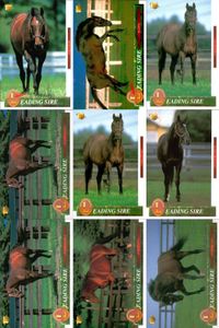 競馬 カード ホースレーシング まとめ オペラハウス カンパラ リアルシャダイ アンバーシャダイ シャダイ サンデーサイレンス アンバーシャダイ メジロライアン シェーバー バンダイ サムネイル 1