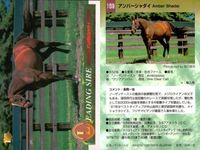 競馬 カード ホースレーシング まとめ オペラハウス カンパラ リアルシャダイ アンバーシャダイ シャダイ サンデーサイレンス アンバーシャダイ メジロライアン シェーバー バンダイ サムネイル 5