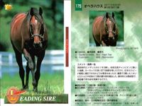 競馬 カード ホースレーシング まとめ オペラハウス カンパラ リアルシャダイ アンバーシャダイ シャダイ サンデーサイレンス アンバーシャダイ メジロライアン シェーバー バンダイ サムネイル 2