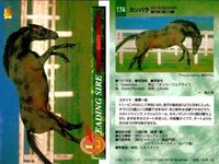 競馬 カード ホースレーシング まとめ オペラハウス カンパラ リアルシャダイ アンバーシャダイ シャダイ サンデーサイレンス アンバーシャダイ メジロライアン シェーバー バンダイ サムネイル 3